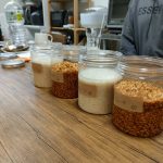 はじめてさんも大丈夫　塩糀・醤油糀をつくろう